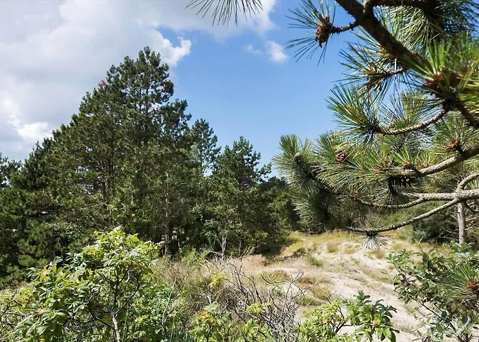 0290-romo-norre-frankel-61 Holiday home